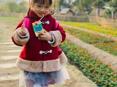 -泉州海丝野生动物世界