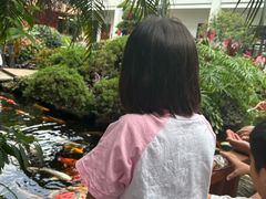 -聚福宝合苑食府(南头镇店)