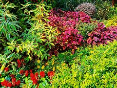 -广州锦绣香江度假别墅