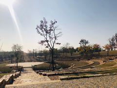 -盘龙城国家考古遗址公园