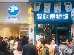 -猫咪博物馆(顶澳仔猫街店)