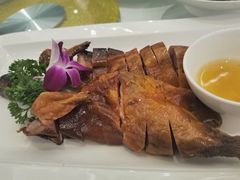 琵琶鸭-骏莱海鲜鱼港(五角场店)