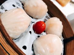 -赏点粤式点心(广州塔店)