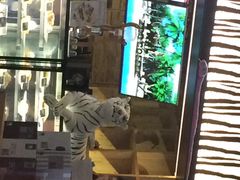 Zoo&nbsp;Coffee(南山店)-Who乎coffee&bar