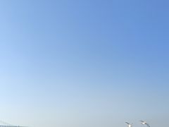 -星海蹦极娱乐