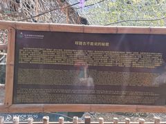 -呀路古热带植物园