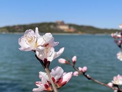 -颐和园