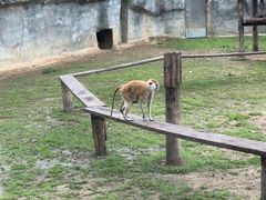 -杭州野生动物世界