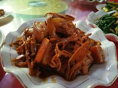 -龚家花园农家乐休闲别墅
