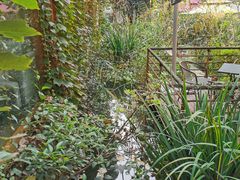 -谷咖啡·鲜花绿植花园餐厅