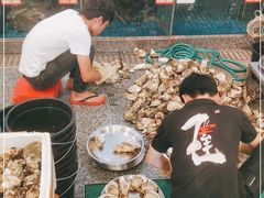 水产区-飞尝蚝·顺德菜·鱼生(顺德总店)