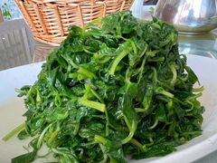 -苏启渔港(云南北路店)