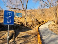 -白水寺森林公园