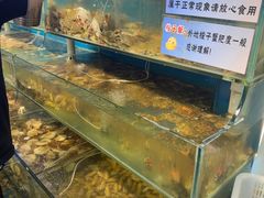 -仙螺岛海鲜自助餐厅(总店)