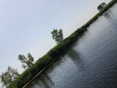 -白洋淀景区