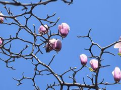 -白云山索道-售票处