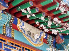 -北京凤凰岭