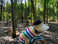 -贵阳市花溪国家城市湿地公园