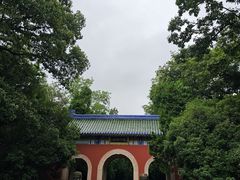 -灵谷景区