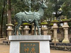 -奈良公园