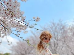 -龙美术馆(西岸馆)
