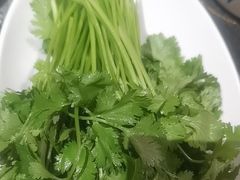 -蒙都43°9羊火锅(平庄店)