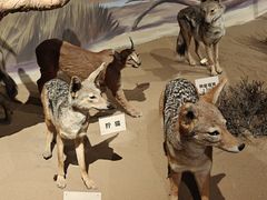 -陕西自然博物馆