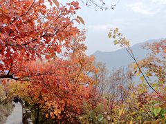 -周口店坡峰岭风景区