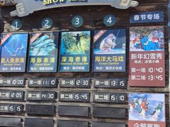 -哈尔滨波塞冬海底世界