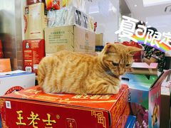 -玉华饮食店(茅台路店)