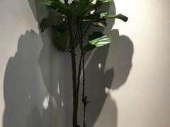 -喜茶(上海兴业太古汇店)