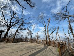 -紫金山山顶公园