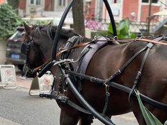 -天津五大道文化旅游区