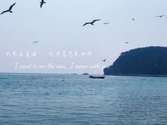 -棒棰岛宾馆景区