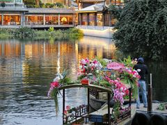-荔湾湖公园