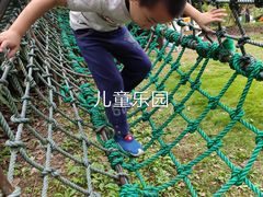 -东平国家森林公园