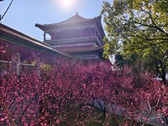 -横店影视城明清宫苑园区