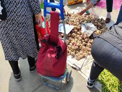 -何庄子阿米玛玛农产品批发市场