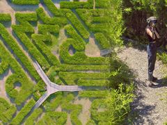 -亲兄弟真人CS团建拓展基地