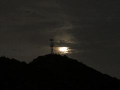 -紫金山山顶公园