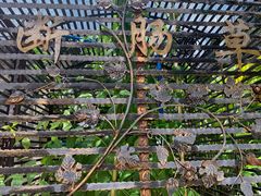 -广州神农草堂中医药博物馆
