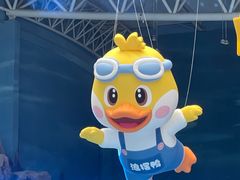 -青岛东方影都融创水世界