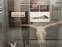 -大连自然博物馆