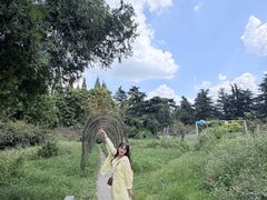 -花溪公园