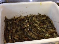 -春华海鲜城(广场西苑店)