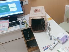 -瑞派康怡24h宠物医院·犬猫医疗中心·微创绝育(瑞景分院)