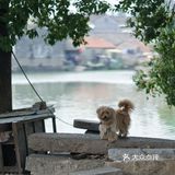 人间恍惚