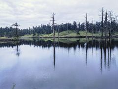 -瓦屋山景区