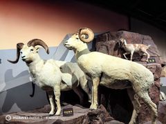 -陕西自然博物馆