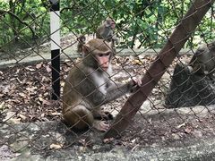 -狮子山郊野公园